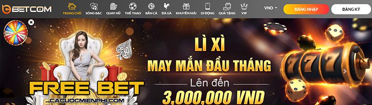 Điều khoản và điều kiện của Giải thưởng Xs88 – Hướng dẫn hoàn toàn minh bạch - Xs88