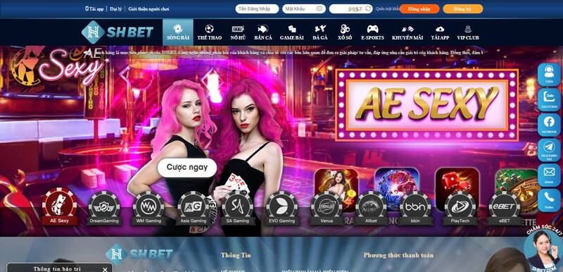 Hướng dẫn phát triển nền tảng Luck8 - Luck8