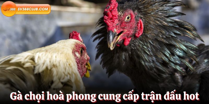 Tận hưởng ưu đãi cấp Lv88 cho lần gửi tiền đầu tiên của bạn - Lv88