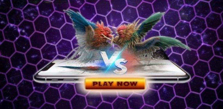 Khám phá những ưu điểm và chức năng độc đáo của Vivu88 - Vivu88