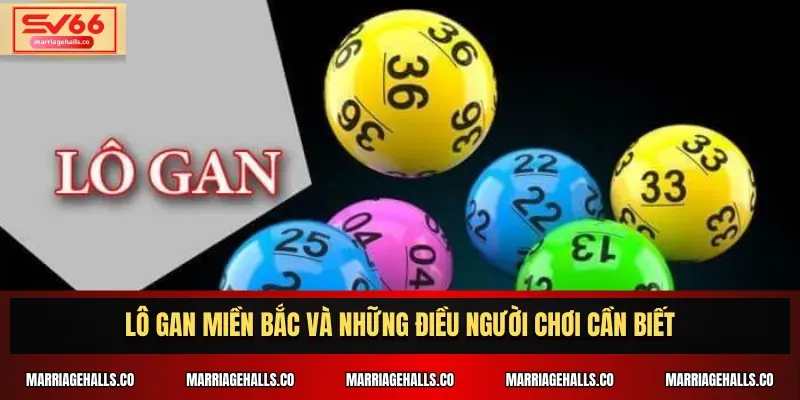 Hướng dẫn cách tham gia giao dịch bằng cách sử dụng G6bet - G6bet