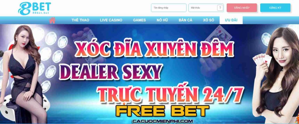 Tóm tắt hoạt động quảng bá 11Vn - 11Vn