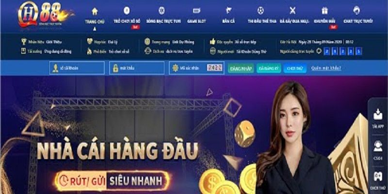 Thông tin cơ bản về nền tảng Betvn - Betvn