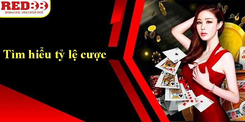 Tổng quan về đơn đăng ký Fun222 - Fun222