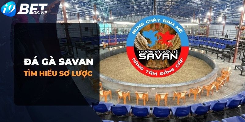Liên hệ với quan chức Da88 - Da88